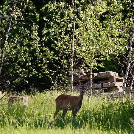 Garden Loft Feriegård Roczyny