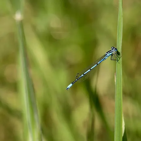 Feriegård Garden Loft