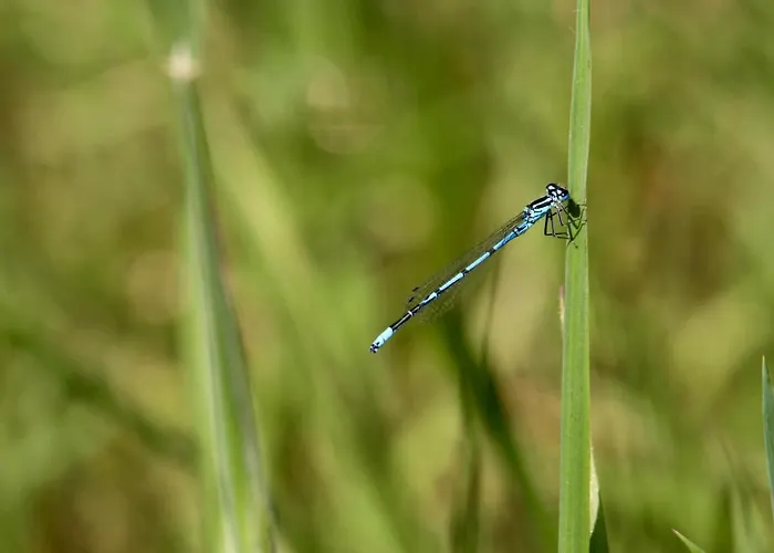 Alloggio per agriturismo Garden Loft